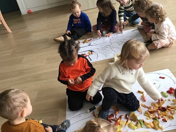 Le pommier prend forme